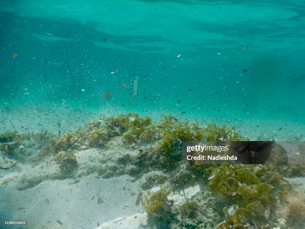 Diving underwater in a turquoise Mediterranean Sea
