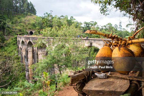 nine arches bridge demodara in ella, sri lanka. - arch bridge stock pictures, royalty-free photos & images