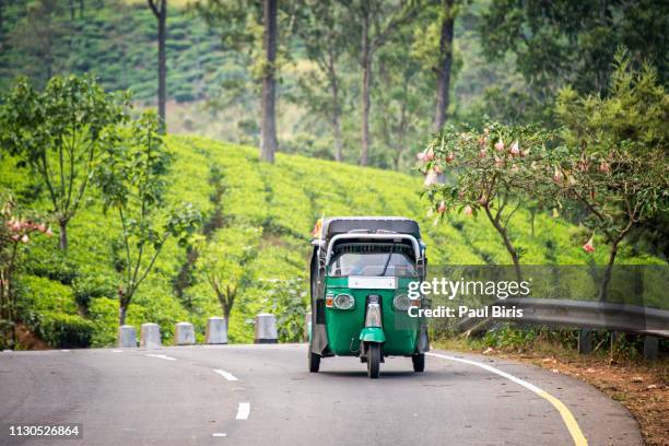 riding a tuk tuk, tea plantations, hill country, sri lanka - auto riquexó imagens e fotografias de stock