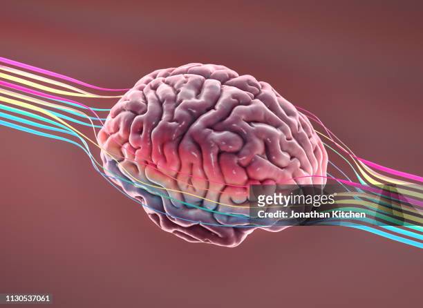 brain with wires - brain health foto e immagini stock