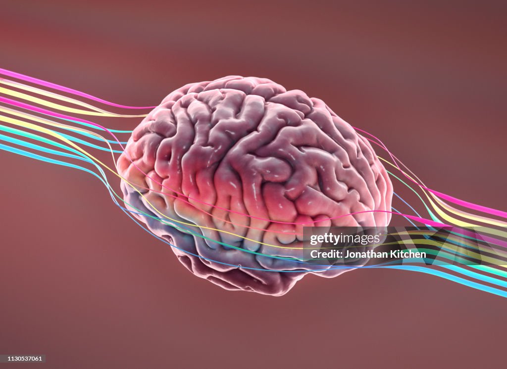 Brain with wires