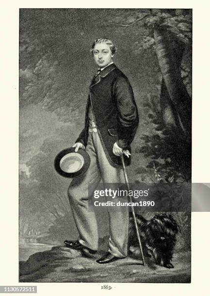 edward vii, as a young man, prince of wales, 1863 - edward vii stock illustrations
