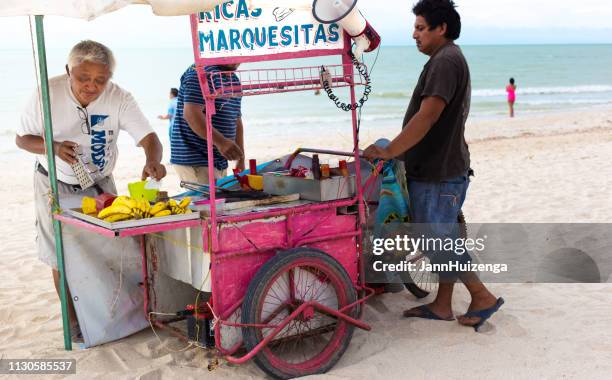 celestún, yucatan, mexico: food vendor on beach - mexican-food-cart stock pictures, royalty-free photos & images