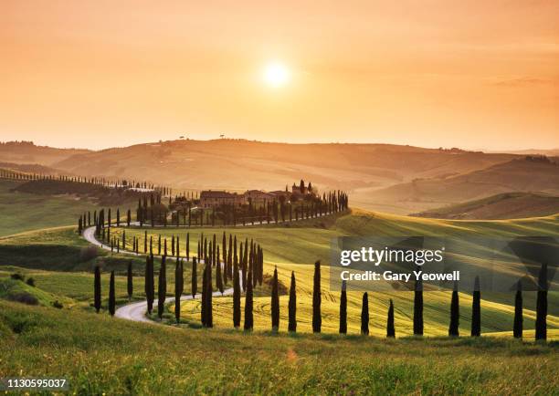 road leading through tuscan landscape at sunset - tuscany - fotografias e filmes do acervo