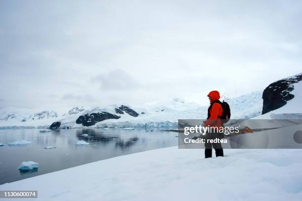 femme debout scientifique station almirante brown signes paradise bay - hiking pole photos et images de collection