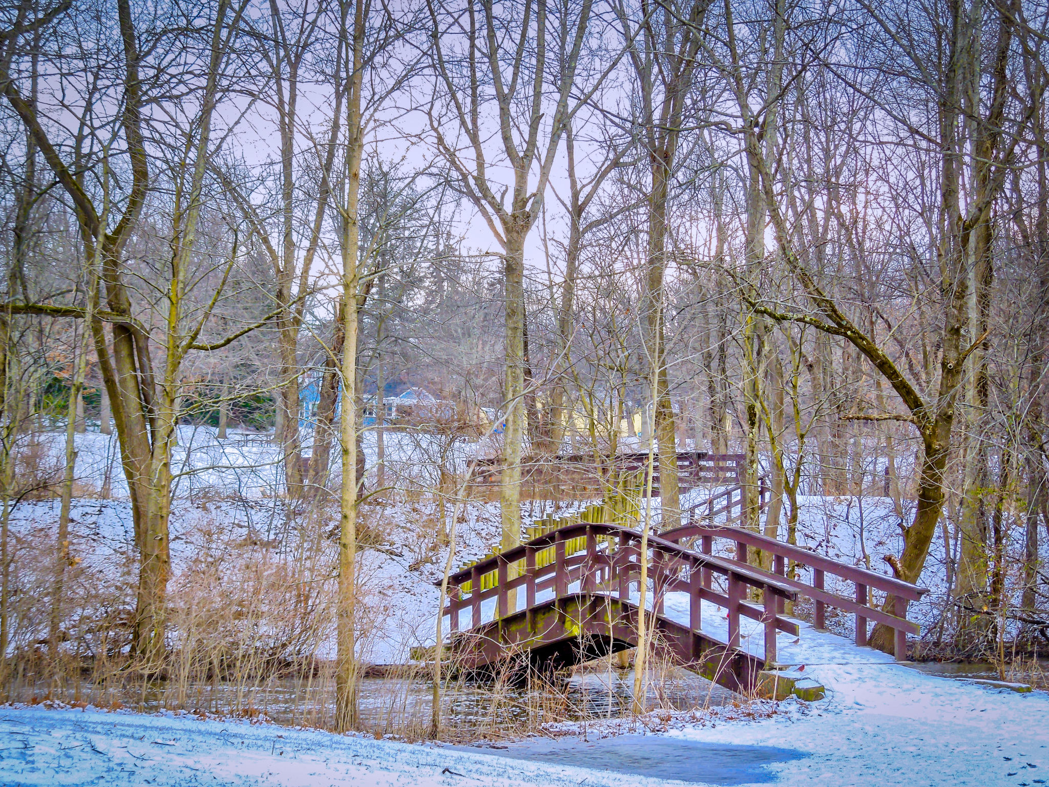 akron backyard