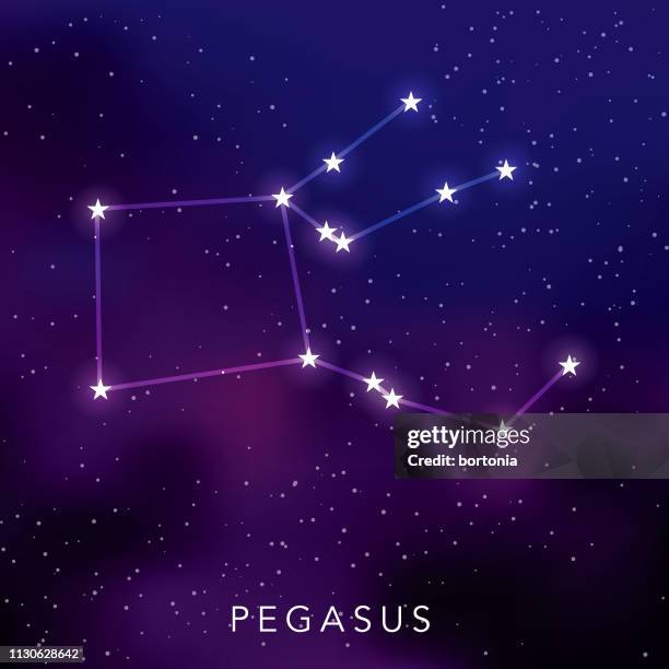 sternbild pegasus - constellation stock-grafiken, -clipart, -cartoons und -symbole