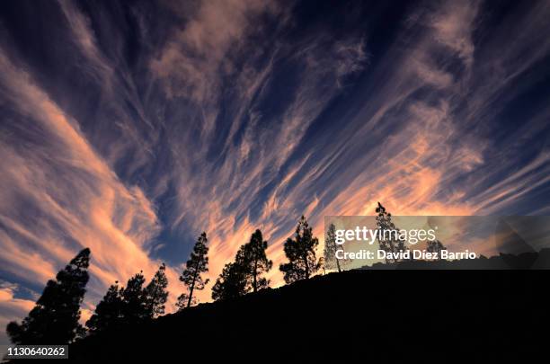 sunset in the teide national park - geología stock-fotos und bilder