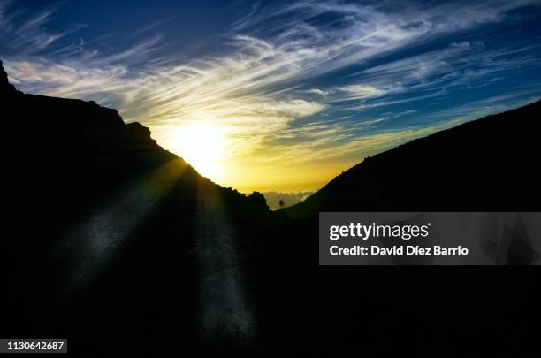 sunset in the teide national park - paisaje volcánico bildbanksfoton och bilder