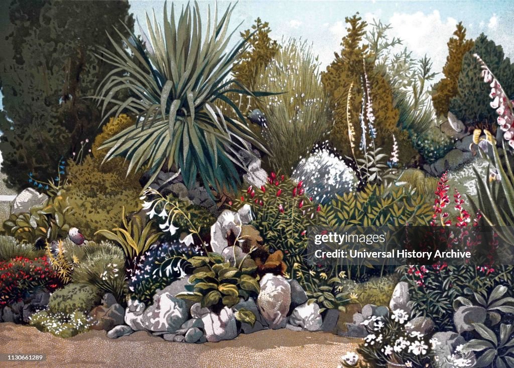 The rockery in the gardens of the Royal Horticultural Society at Chiswick.