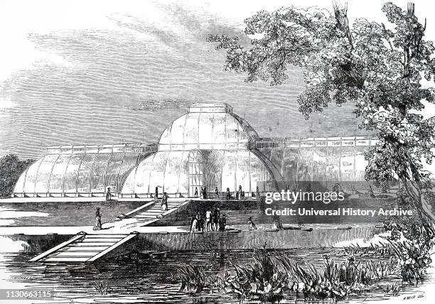 An engraving depicting the Palm house, a greenhouse that is specialised for the growing of palms and other tropical and subtropical plants, Royal...