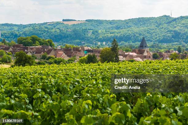 Epineuil : overview of the vines and the village, production of wine from Epineuil.