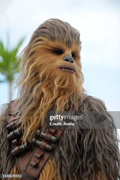 71st Cannes Film Festival: Chewbacca, here for the promotion of the film 'Solo: a Star Wars Story', on .