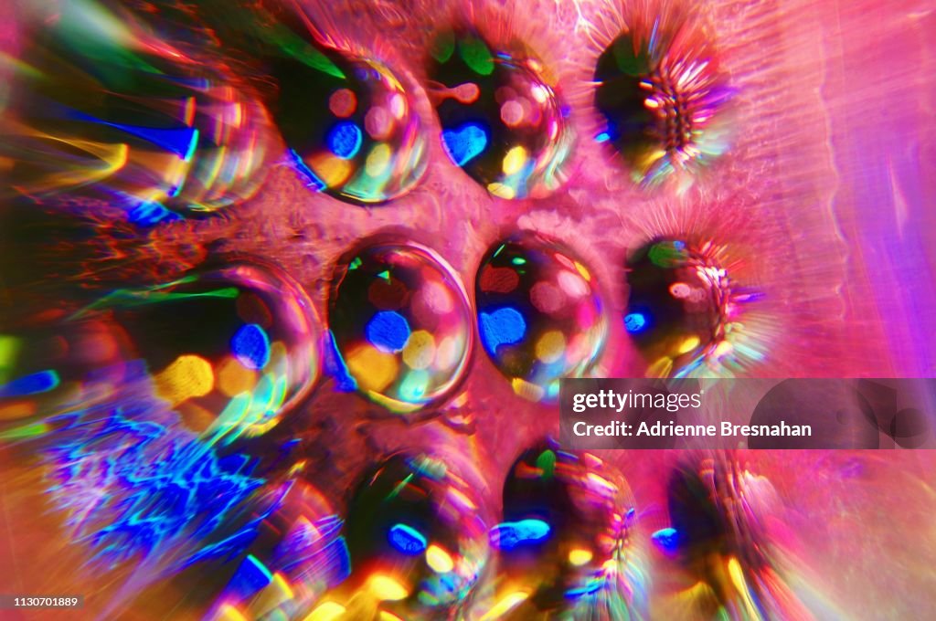 Exploding Colorful Cells High-Res Stock Photo - Getty Images