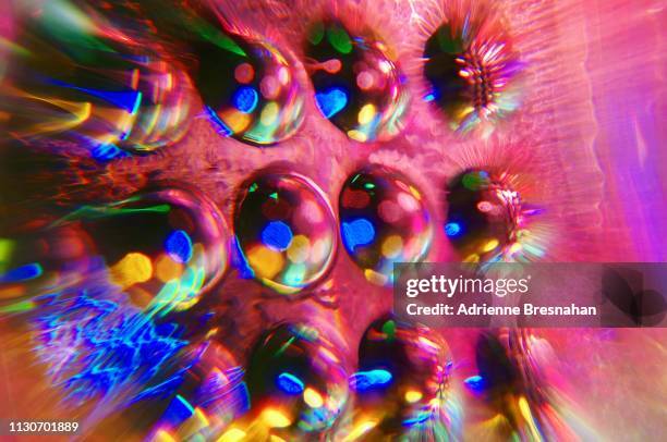 Cell Exploding With Ice Exploding Colorful Cells High-Res Stock Photo - Getty Images