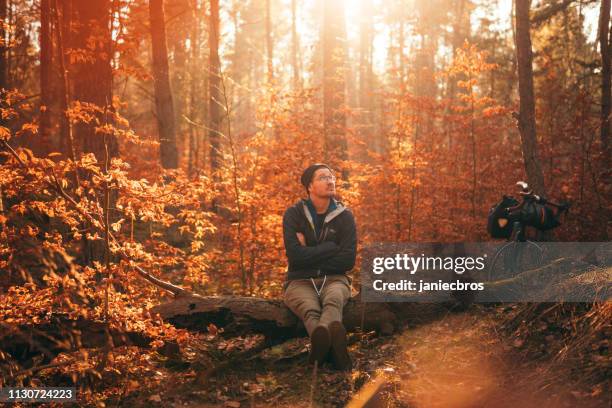 forest by bicycle meditation - good; times bad times stock pictures, royalty-free photos & images