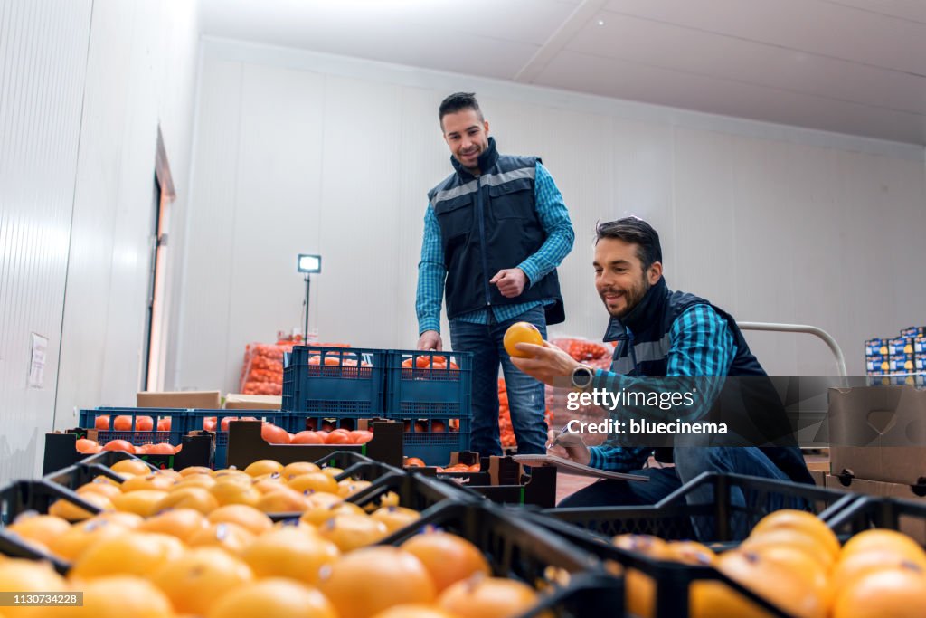 Fresh fruits and vegetables in warehouse