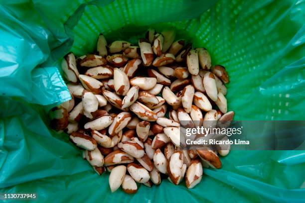 para state nut inside a basket, belem, para state, brazil - belem brazil stock-fotos und bilder