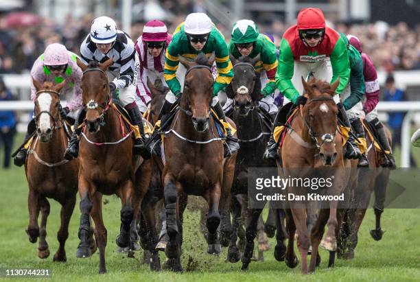 Horses and riders round the first bend during the first race, the JCB Triumph Hurdle Race during the Gold Cup Day at Cheltenham Festival at...