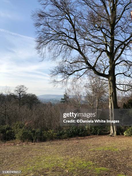 Deepdune 38 Deepdene Stock Photos, High-Res Pictures, and Images - Getty Images