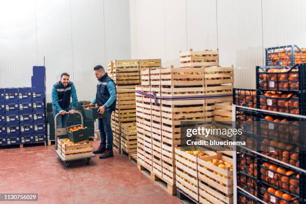 frutas y hortalizas frescas en almacén - pallet industrial equipment fotografías e imágenes de stock