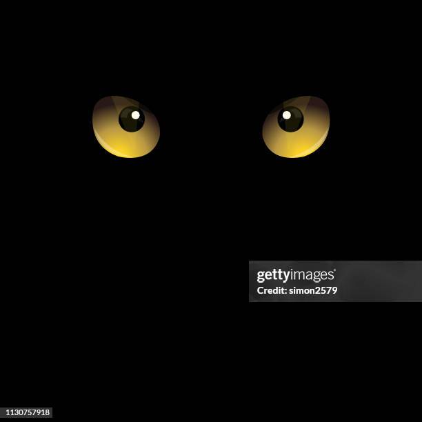 cat eyes in darkness - cat eye stock illustrations