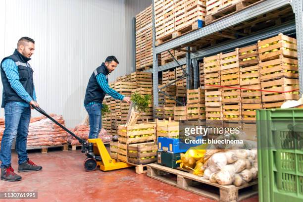 fresh vegetables in warehouse - cold storage room stock pictures, royalty-free photos & images