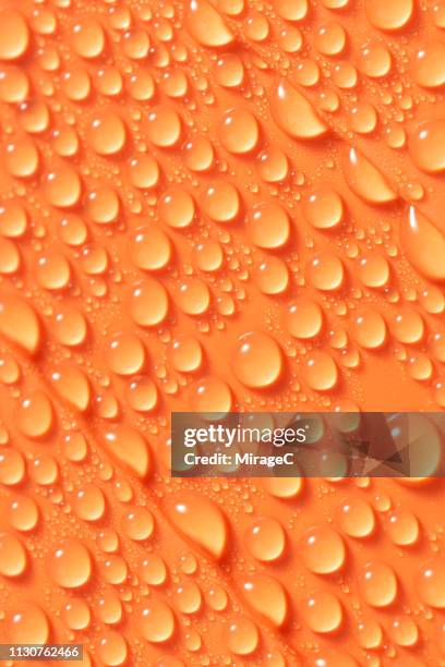 abundance of water dew condensation - water repellent stock pictures, royalty-free photos & images