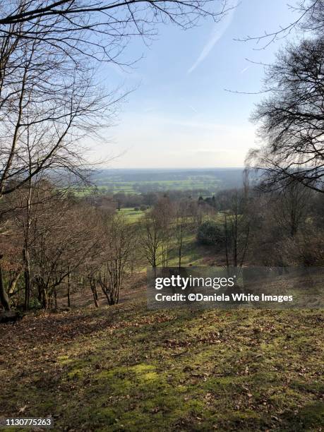 Deepdune Deepdene Photos and Premium High Res Pictures - Getty Images