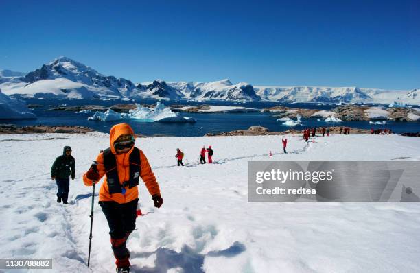 paradise bay trekking - antarctica people stock pictures, royalty-free photos & images