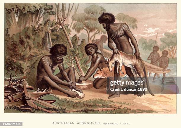 bildbanksillustrationer, clip art samt tecknat material och ikoner med australiska aboriginer, förbereda en måltid, 1800-talets australien - ärr