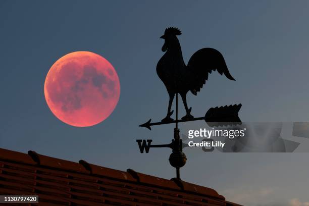 blood moon over the roof of a house with weather vane with weather cock, baden-wuerttemberg, germany - total lunar eclipse over germany stock pictures, royalty-free photos & images