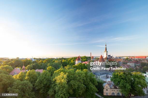 tallinn's old town with st olaf's church's spire towering above it, estonia - baltikum stock-fotos und bilder