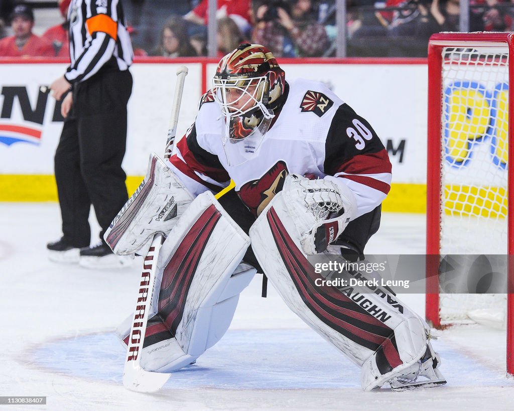 Arizona Coyotes v Calgary Flames