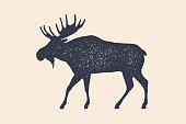 Moose, wild deer. Concept design of farm animals