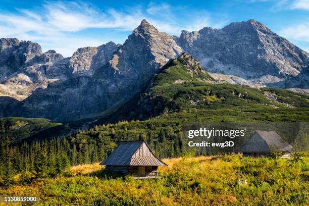 urlaub in polen-gasienicowa tal, tatra berge, polen - poland stock-fotos und bilder