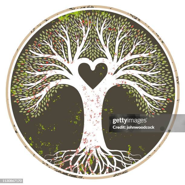 round white grunge tree - genealogy stock illustrations