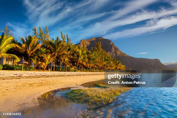 sunrise on a tropical sandy beach, le morne brabant, mauritius island - mauritius stockfoto's en -beelden