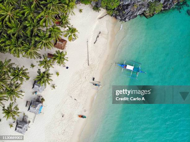 aerial view of palm trees and beach - philippinen strand stock-fotos und bilder