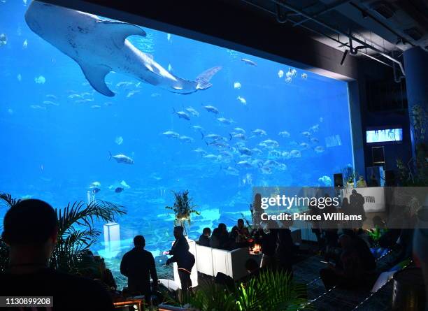 General view at Gunna Drip or Drown 2 "A Listening Experience" at Georgia Aquarium on February 19, 2019 in Atlanta, Georgia.