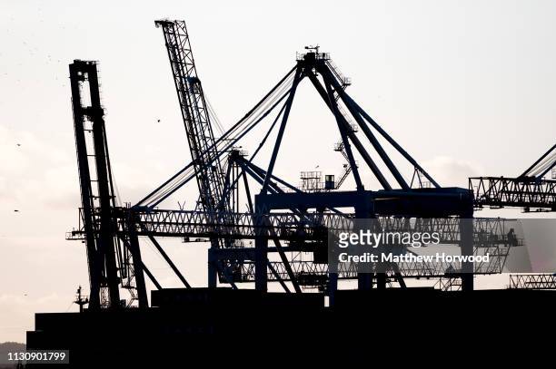 Cranes and freight transportation equipment are seen silhouetted on a container ship at the Port of Southampton on February 10, 2019 in Southampton,...