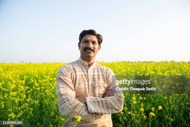 indian rural man - stock images - indian wedding stock pictures, royalty-free photos & images