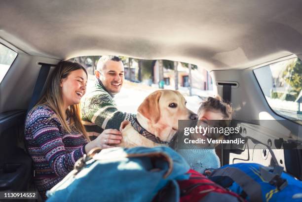 we love to travel - road trip dog stock pictures, royalty-free photos & images