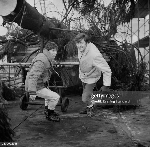 British television presenters John Noakes and Peter Purves, co-stars in BBC children television show Blue Peter, pulling the Christmas tree to be...