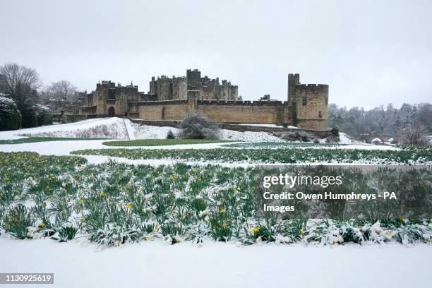 Snowy conditions at Alnwick Castle, Northumberland, the UK will be battered by strong winds, rain and snow over the weekend as an area of developing...