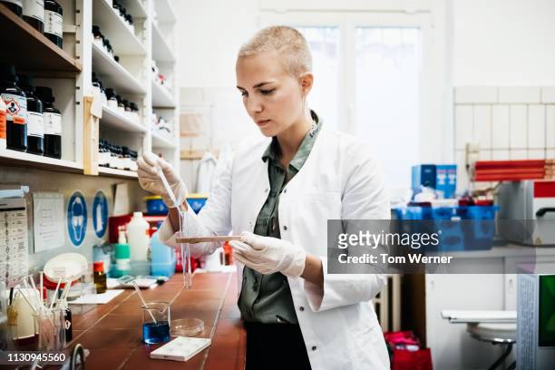 pharmacist performing experiment using chemicals - erwachsener über 30 stock-fotos und bilder