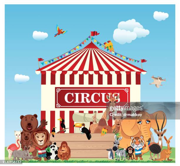 circus - cabaret stock illustrations