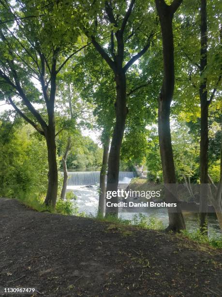Fishkill Tree 140 Fishkill Ny Stock Photos, High-Res Pictures, and Images - Getty Images
