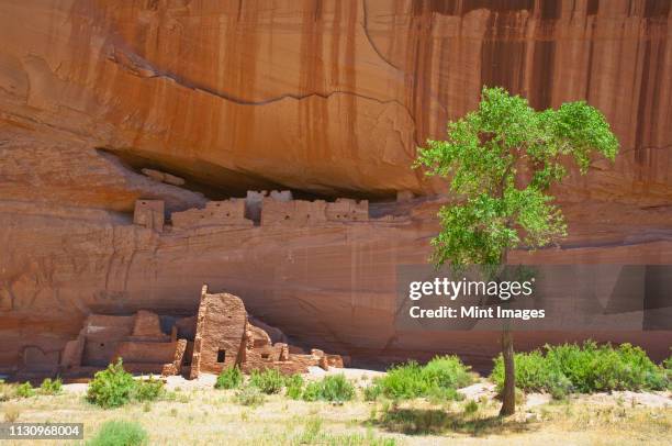 indian cliff dwellings - anasazi ruins stockfoto's en -beelden