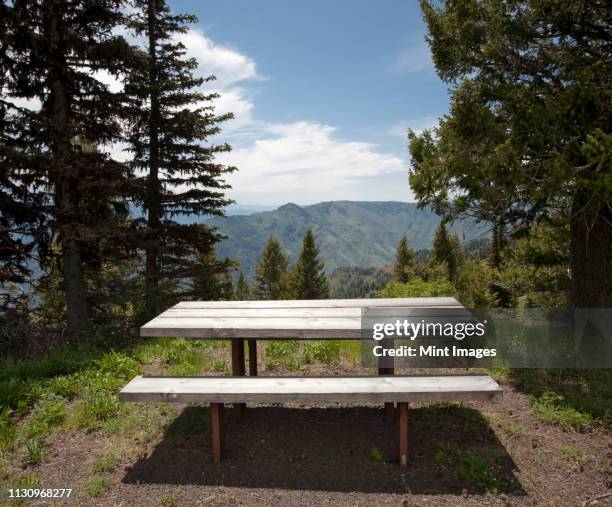 picnic table - outdoor table stock pictures, royalty-free photos & images